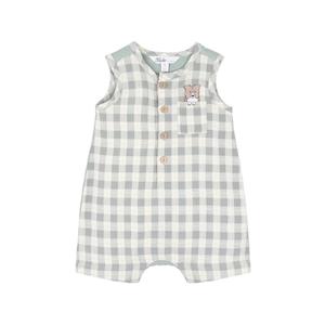 Bebe Chester Embroidered Check Romper