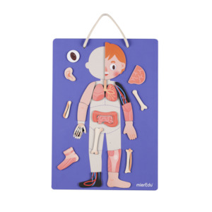 Mier Edu Magnetic Set (All About Body + Emotion)