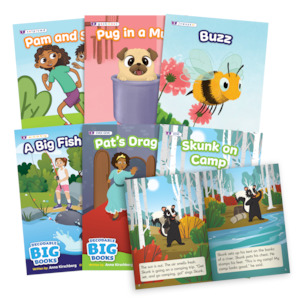 Toy: Decodable Big Books - Fiction