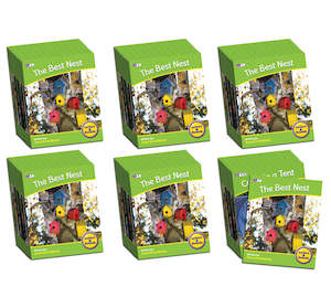 Toy: Letters & Sounds Phase 4 Set 2 Non-Fiction - 6 Pack