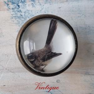 Olivia Bezett's Pīwakawaka (Fantail) Native Bird antique Gold furniture Knob-38mm dia