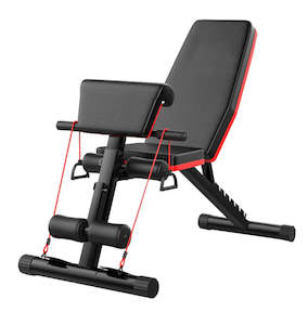 Home Gym adjustable dumbbells bench