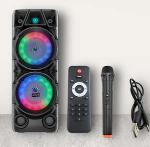 Party Speaker with microphone