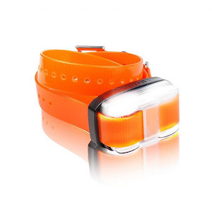 Dogtra Edge Additional Orange Collar