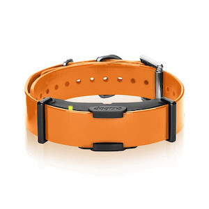 Dogtra ARC Additional Collar