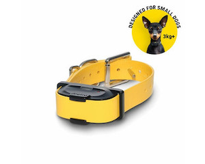 Pet: Dogtra iQ Mini Additional Receiver Collar