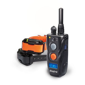 Dogtra 282C Remote Trainer - 2 Dog System