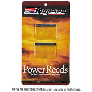 Resin Reed KDX125/200/220 Boyesen Power (BR607)