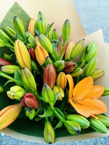 Lively Lily Collection - Kakariki Flowers