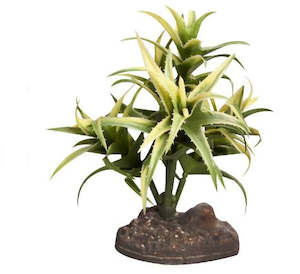 Reptile One Plant Sm Flexuosa Green With Ceramic Base