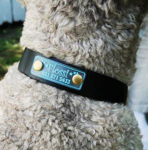 On-collar BadDog (or cat) Tag