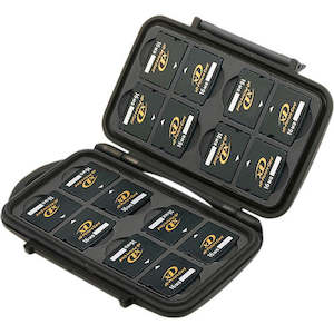 Rental of theatrical equipment: Pelican 0920 Memory Card Case