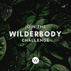 WILDFIT 90-Day Challenge Kerry Dell