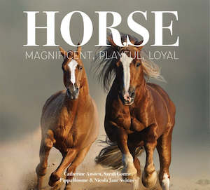 Books: Horse Magnificent Playful Loyal