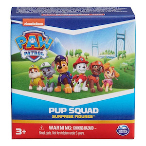 PAW Patrol Pup Squad Surprise Figures