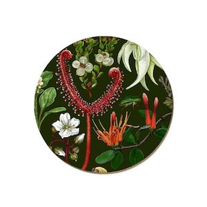 Coaster - NZ plants