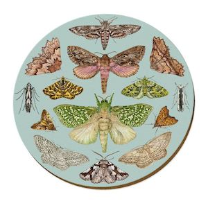 Art gallery: Placemat - NZ moths