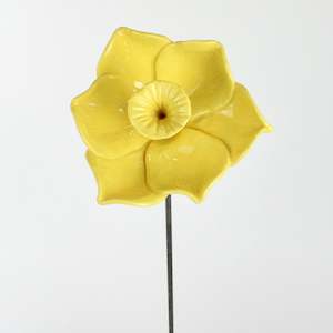 Art gallery: Yellow Garden Daffodil