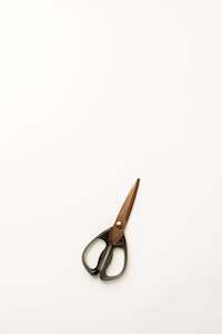 Kitchen Scissors