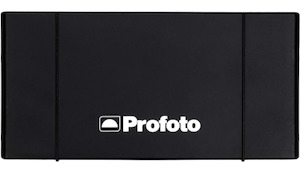 Profoto Pro B4 battery