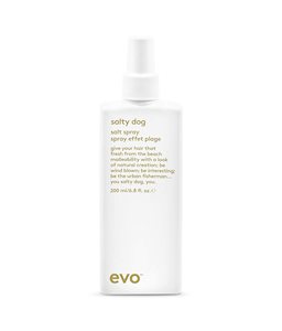 EVO SALTY DOG SALT SPRAY