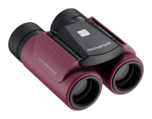 Olympus 8x21RC II WP Magenta Kiwi Binoculars