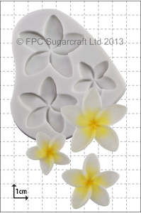 Cake: Frangipani TRIO silicone mould