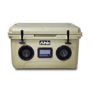 Chilly bin speaker 2 in 1 Cooler box 45L Beige