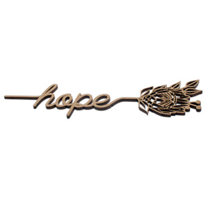 Laser engraving: Protea Hope Kiwi Laser