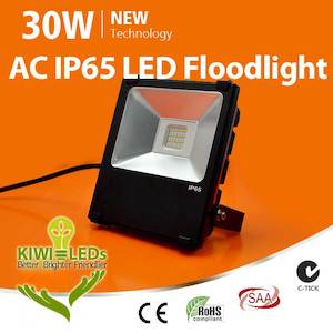 LED Flood Light: KiwiLed