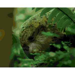 Artist supply: Kakapo