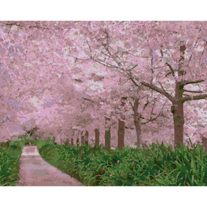 Artist supply: Waikato Cherry Blossoms