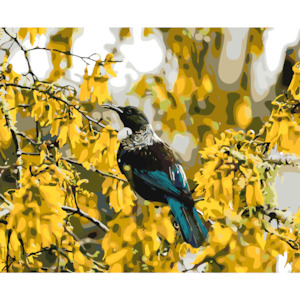 Tui in Kowhai Tree