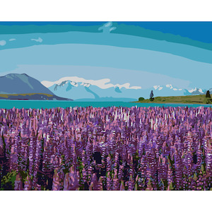 Tekapo Lupins