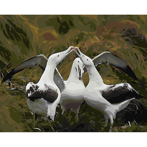 Artist supply: Royal Albatross