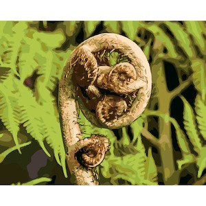 New Zealand Fern