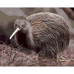 Little Brown Kiwi