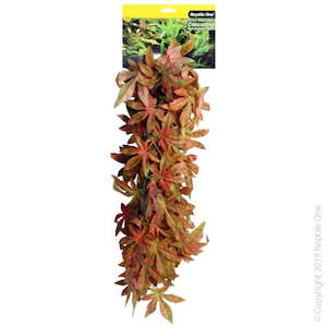 Reptile One Hanging Sativia Red 40cm