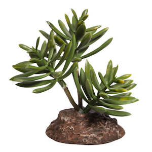 Pet: Reptile One Plant Mini Senecio Green With Ceramic Base