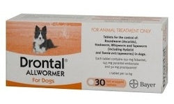 Pet: Drontal Dog Tablet Up To 10Kg Singles