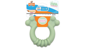 Pet: Nylabone Puppy Chew Tactile Ring Regular