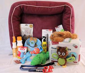 Pet: Puppy Pamper Pack - Boy