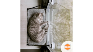 Pet: K&H Ez Mount Kitty Sill Grey