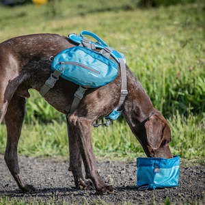 Pet: Kurgo Zippy Bowl - Coastal Blue