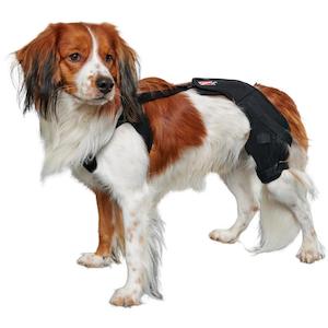 Pet: Kruuse Rehab Knee Pro Protector Left XXS