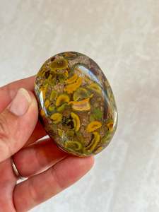 Rainforest Jasper Palm #2 | A Stone of Growth & Renewal