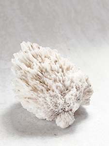 Scolecite Crystal Piece #1 | The Stone of Inner Peace & Higher Awareness