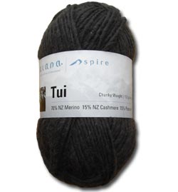 Yarn: Zealana Tui Chunky