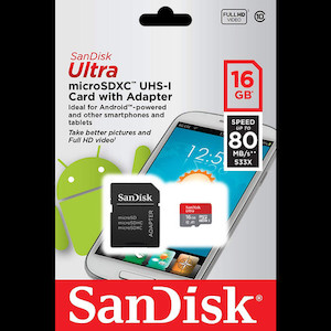 SanDisk Ultra Micro SD Card Vision Photos