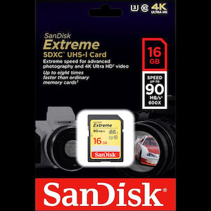 SanDisk Extreme SD Card Vision Photos